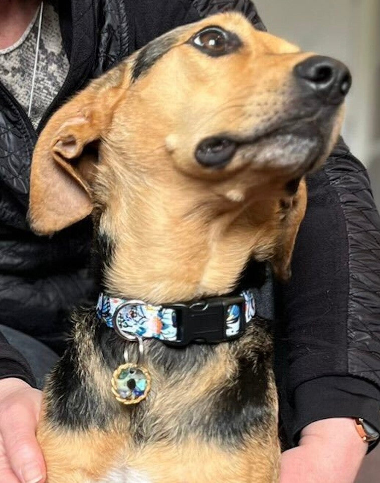 Michael frequency pet calming pendant — handmade copper and crystal collar charm, made in the USA